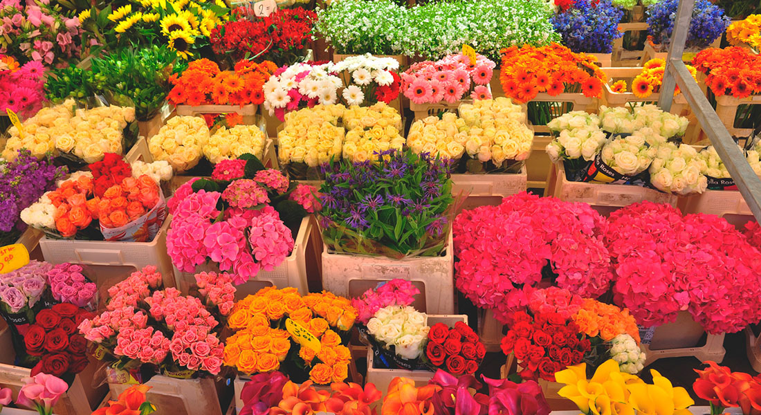 Бізнес на красивому: як відкрити квітковий магазин – аналітики Pro-Consulting для проекту Ощадбанка «Будуй своє»